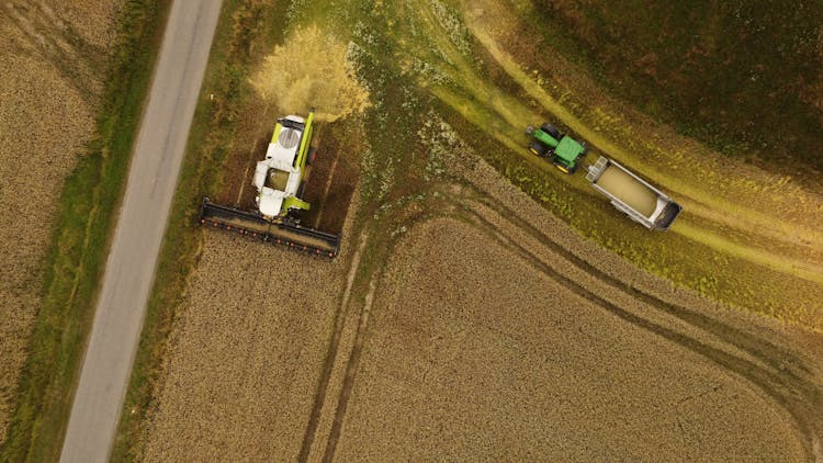 Combine Harvester And Tractor With Trailer On Field