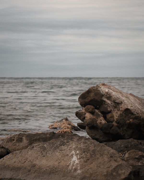 A Rocky Shore under a Cloudy Sky · Free Stock Photo