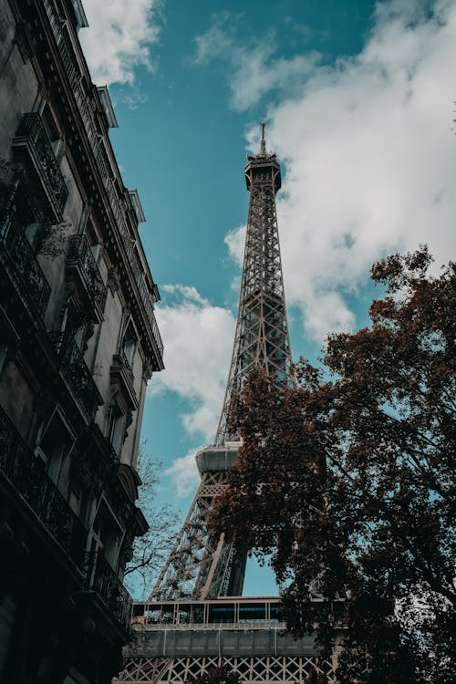 Foto stok gratis membangun, menara Eiffel, objek turis