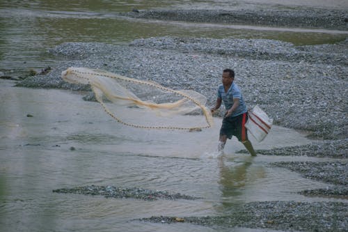 Foto d'estoc gratuïta de pescador, xarxa, xarxa de peix