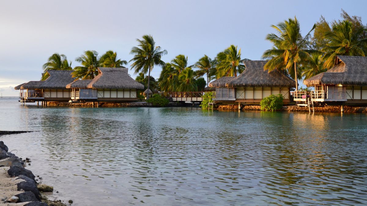 Mauritius Explorer — photo 2
