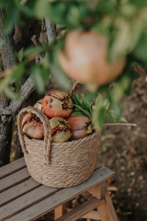 A Basket of Pomegranate on a Wooden Bench