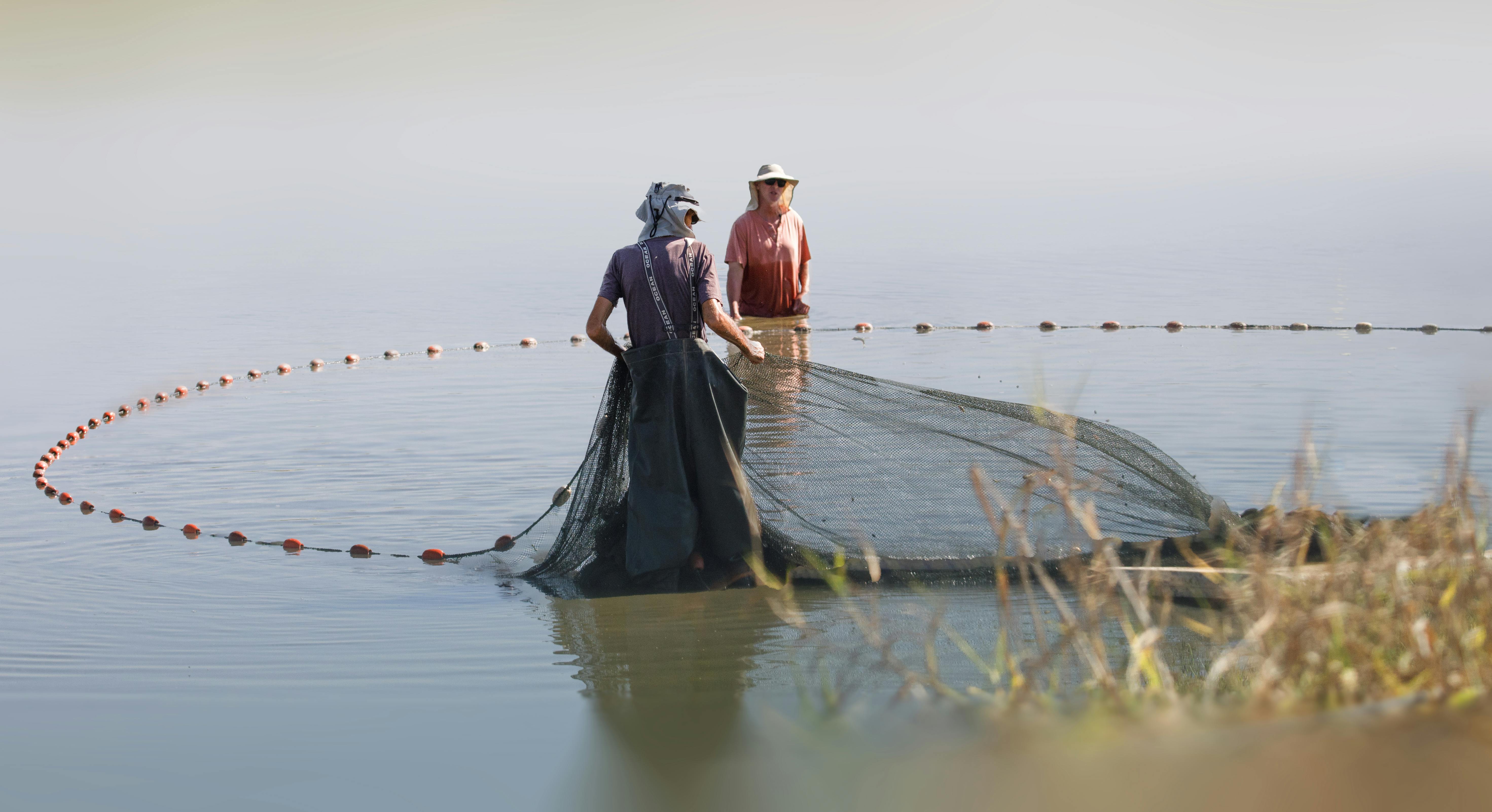 Image of Fishermen With Butterfly Nets in Lake P (photo)