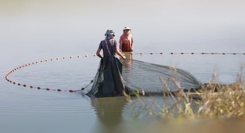 People Using a Fishing Net