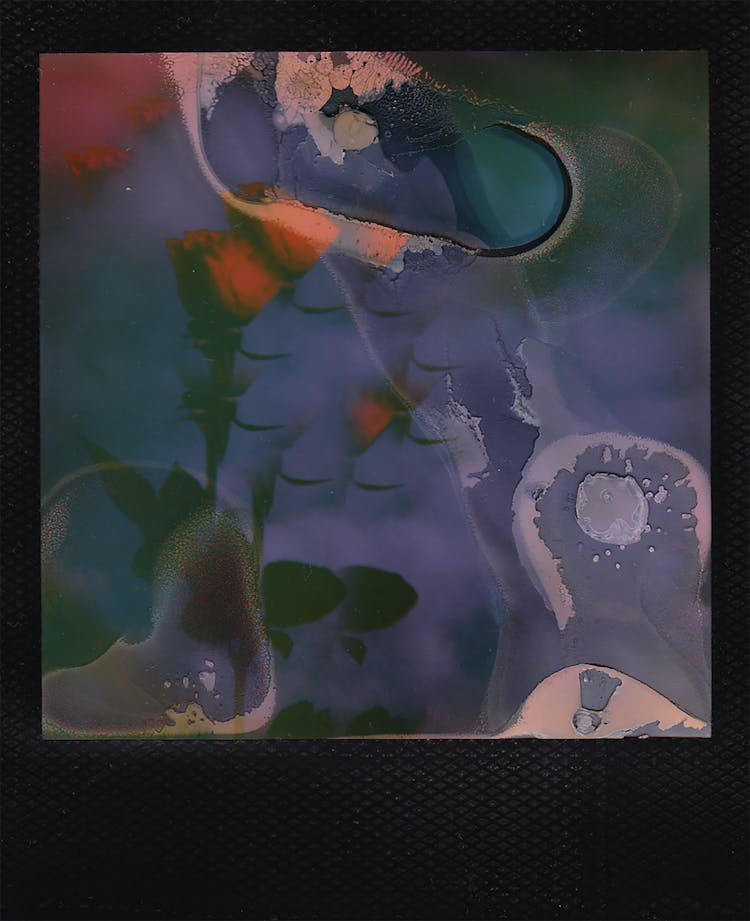Polaroid Of An Abstract Painting 