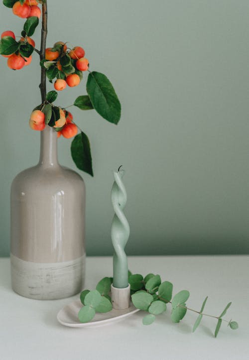 Kostenloses Stock Foto zu blumenvase, grün, grüne blätter