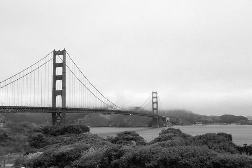Free Monochrome view of Golden Gate Bridge in foggy San Francisco, CA. Stock Photo
