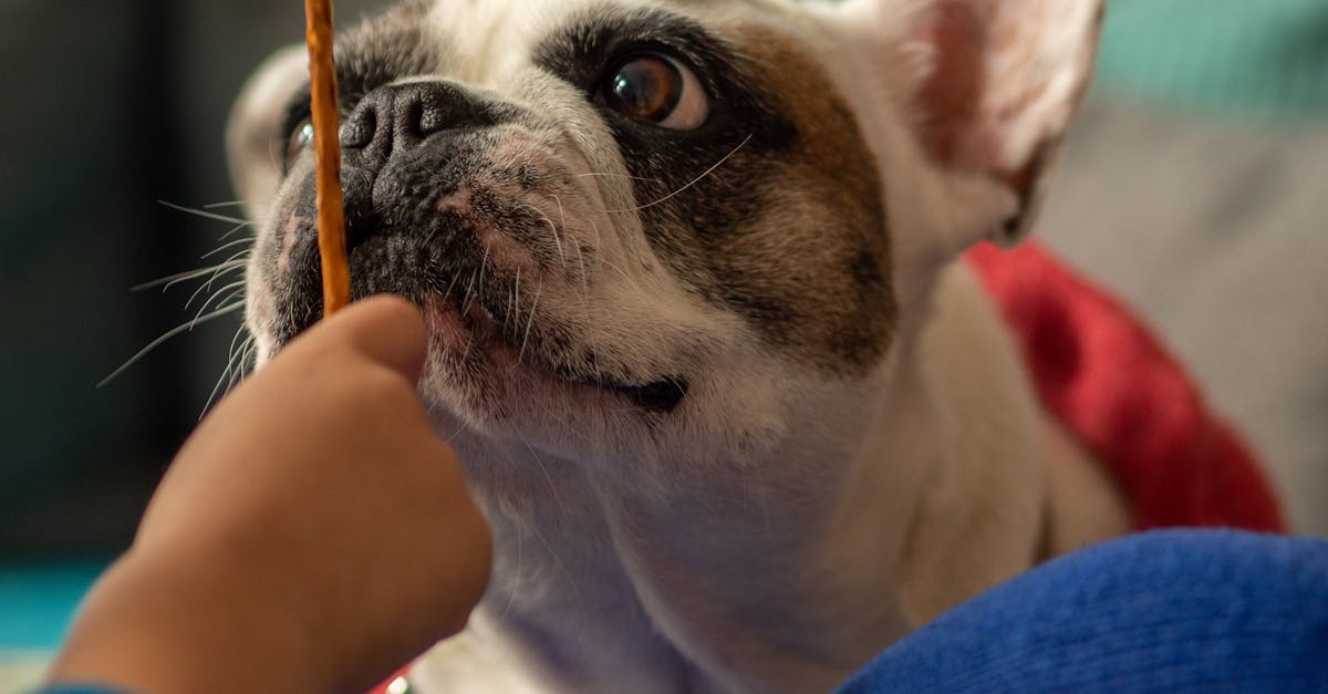 How to use a lighter stick