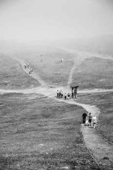 Black and white photo of people walking along rural footpaths in a misty landscape.