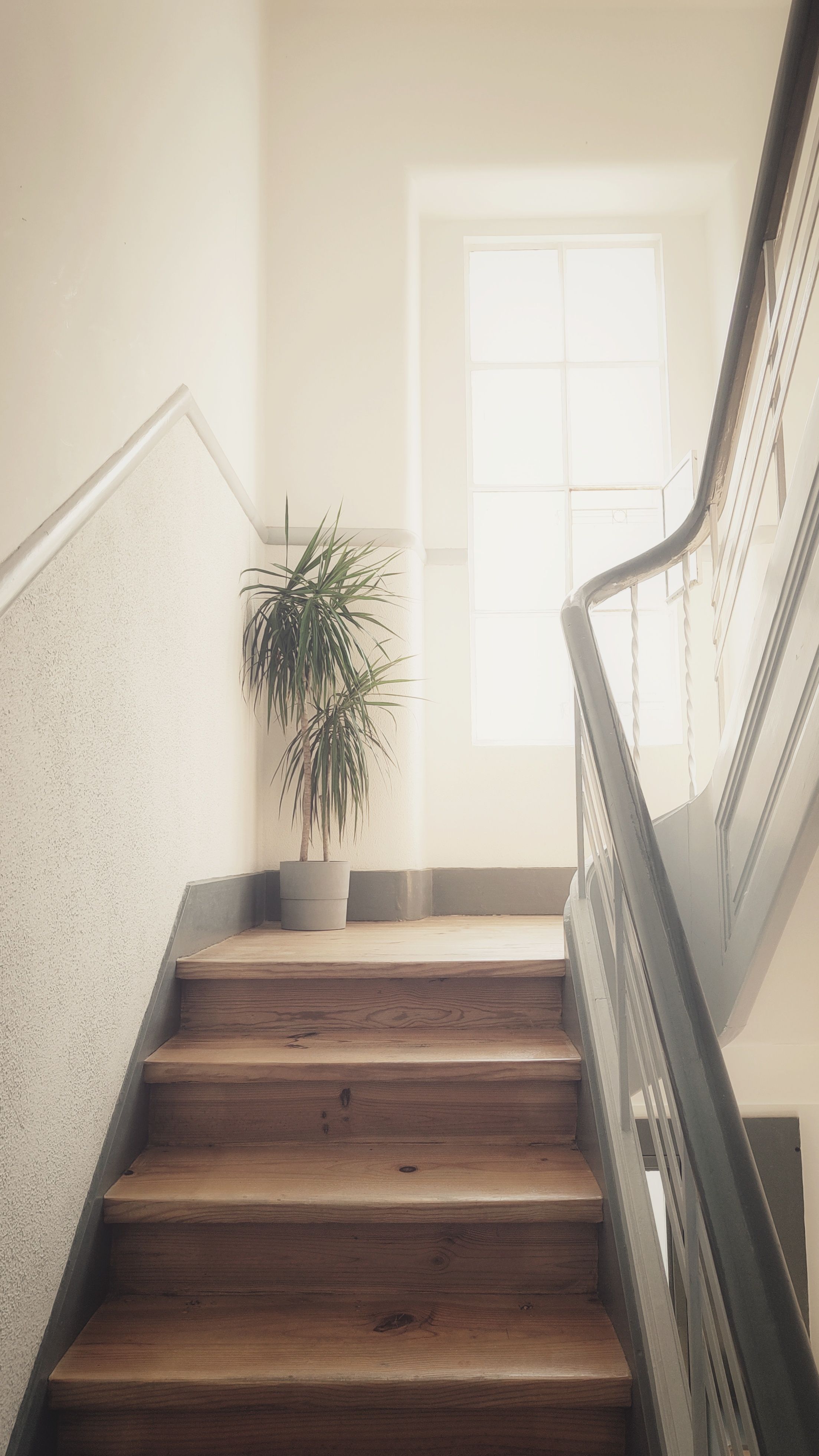 Kostenloses Stock Foto zu #indoor, architektur, ästhetisch
