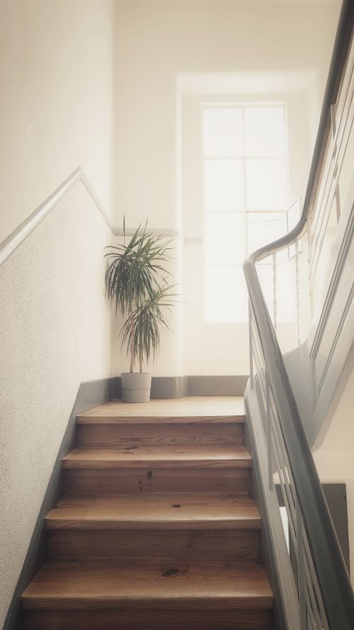 Free Wooden staircase indoors with natural light and a potted plant near a window. Stock Photo