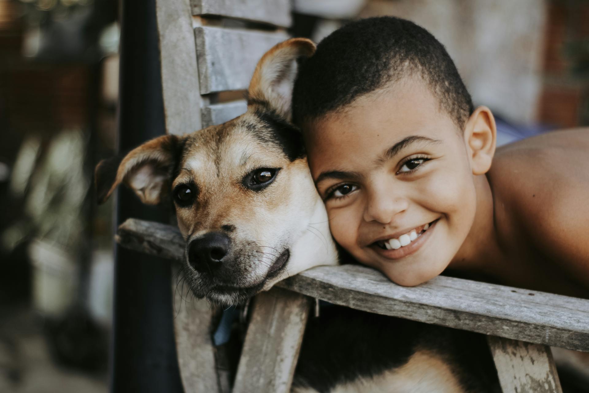 Portrait of a Boy with a Dog