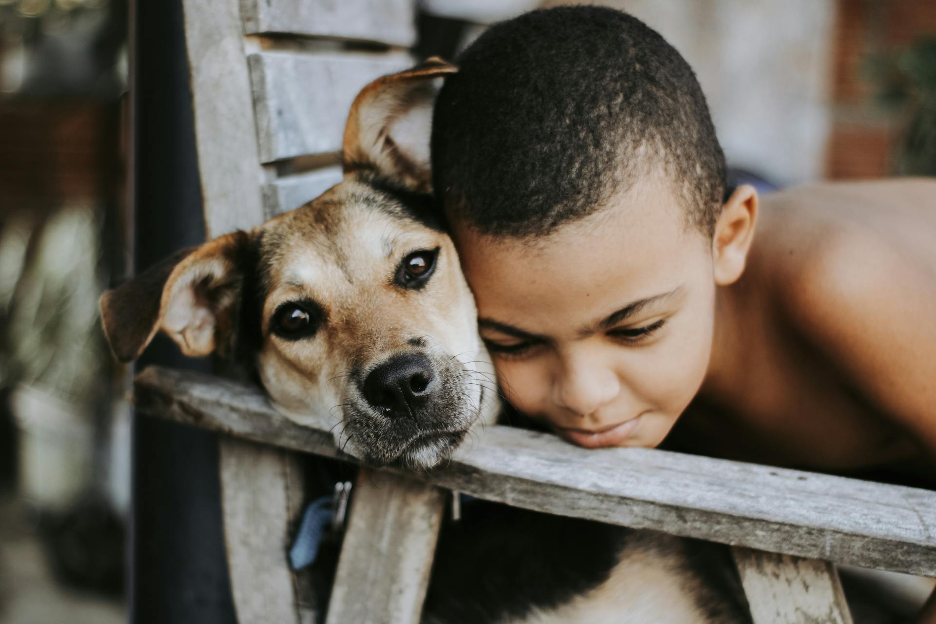 Close-up of a Boy with his Dog