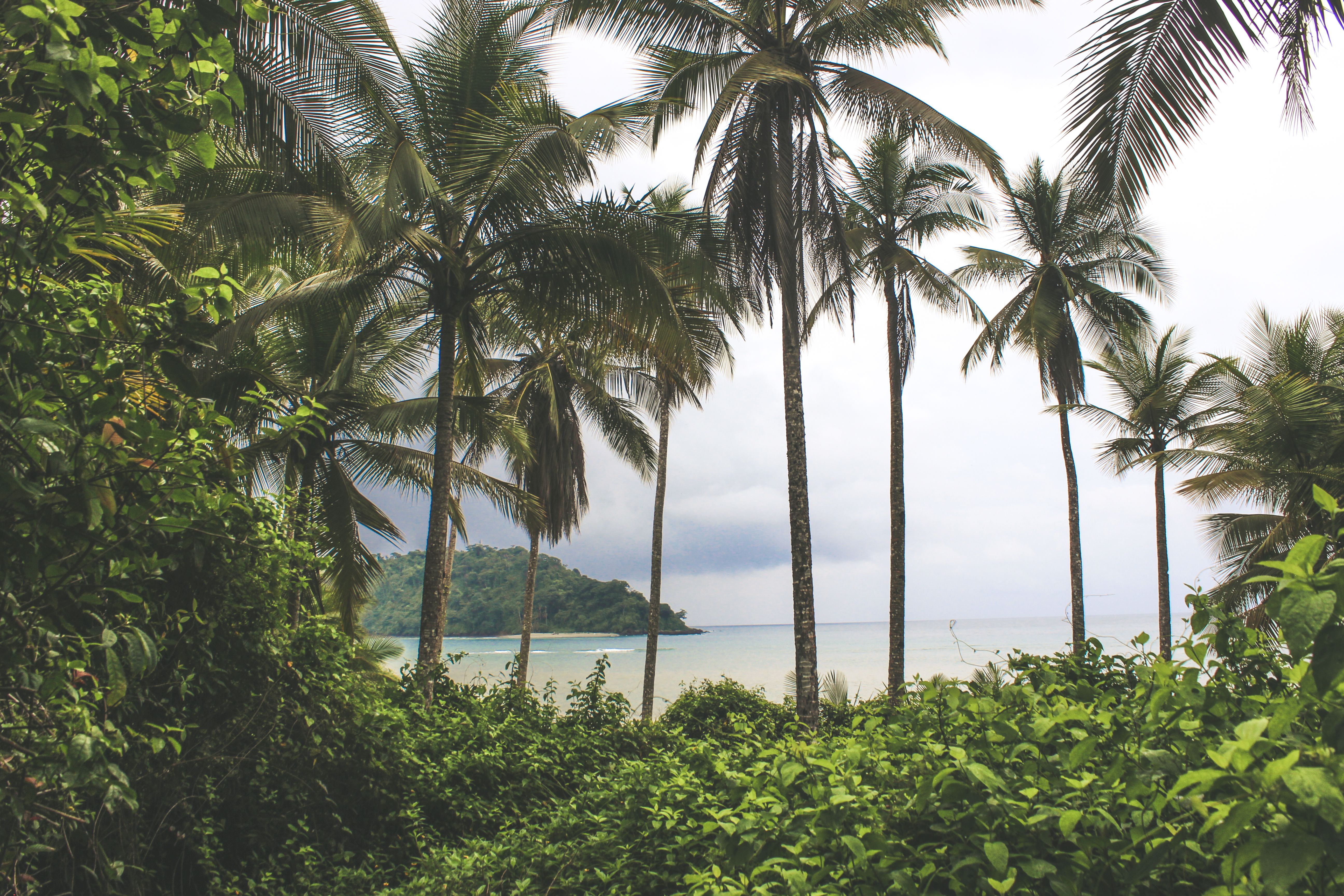Photo of São Tomé and Príncipe