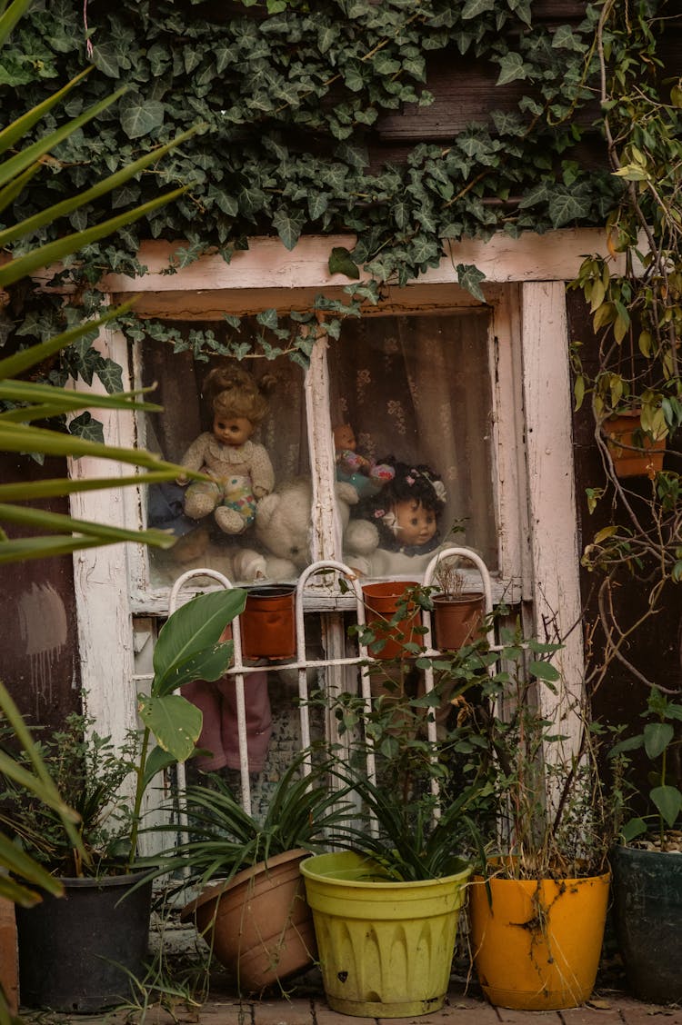 Abandoned Dolls Behind A Glass Window With Potted Plants And Vines 