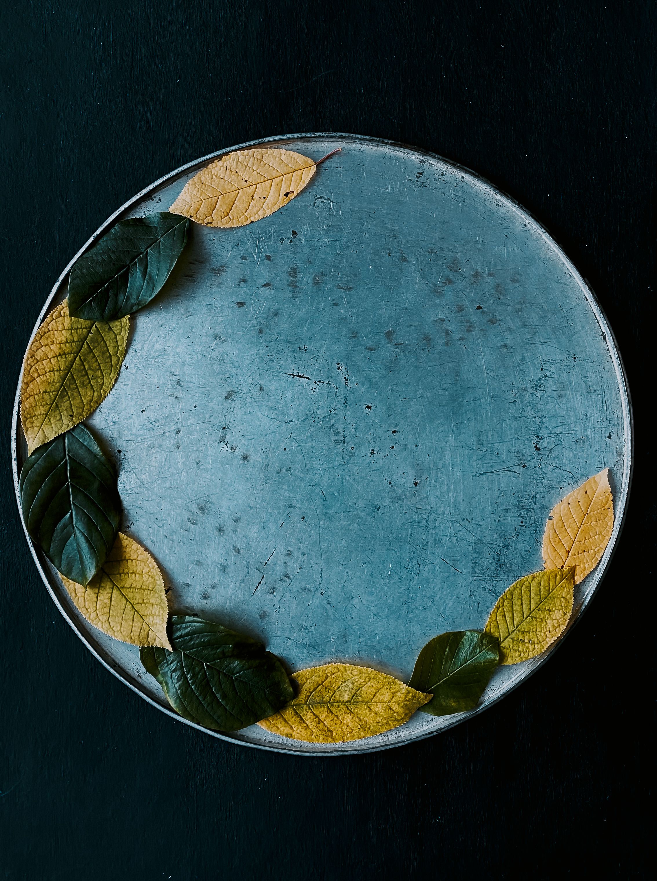 A top view of autumn leaves artfully arranged on a rustic metal plate, set against a dark background.