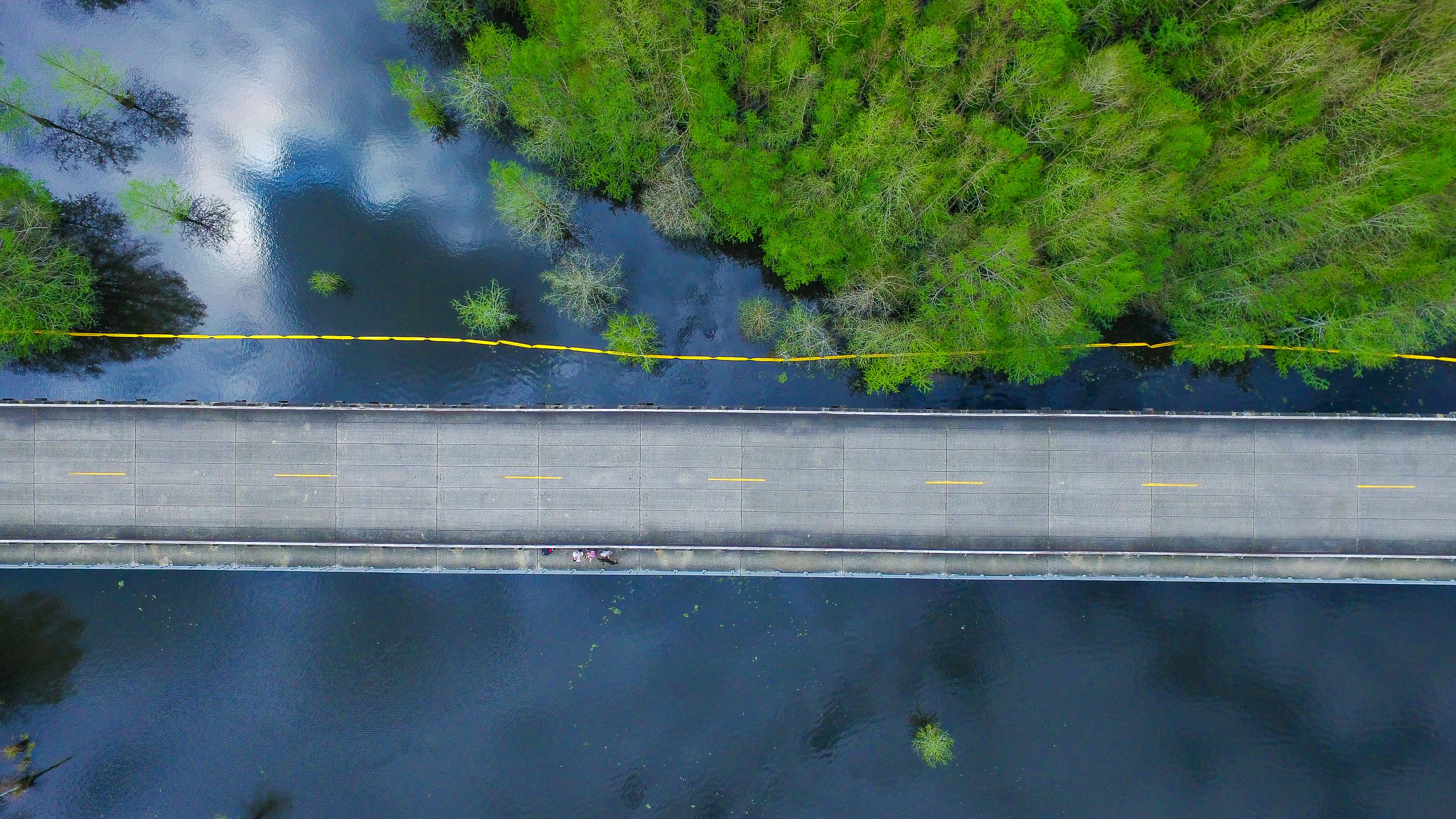 Louisiana Pays $6,274 a Year for Home Insurance — Nearly Three Times the National Average — Photo by Gage LaVergne on Pexels