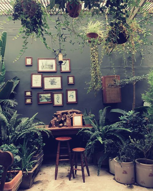 Free Lush indoor garden featuring botanical art, wooden stools, and hanging plants. Stock Photo