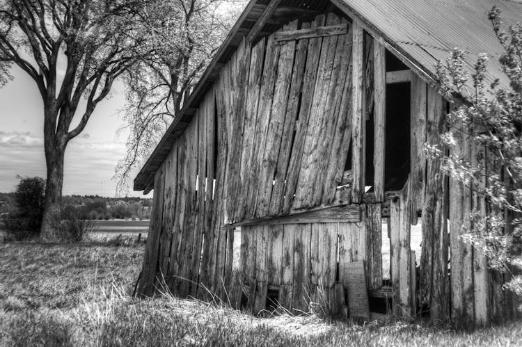 Destroyed Wooden Barn