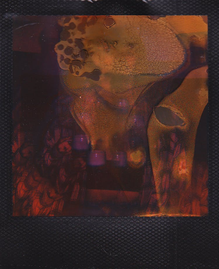 Abstract Polaroid Photograph 