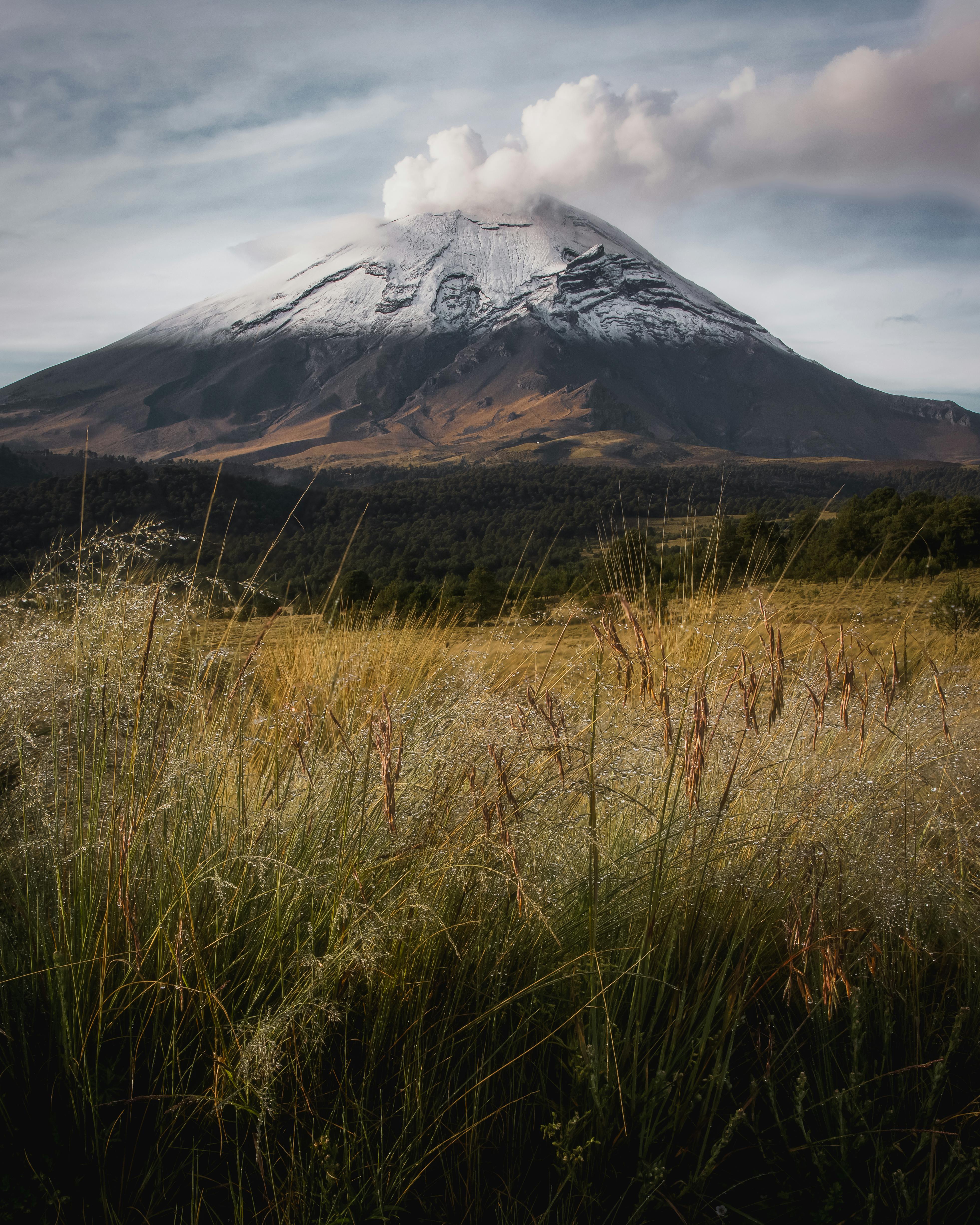 Snowcapped Popocatépetl Volcano with lush fields in the foreground, showcasing natural beauty.