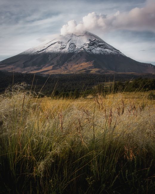 Snowcapped Popocatépetl Volcano with lush fields in the foreground, showcasing natural beauty.