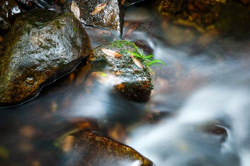 Free River Flow Stock Photo