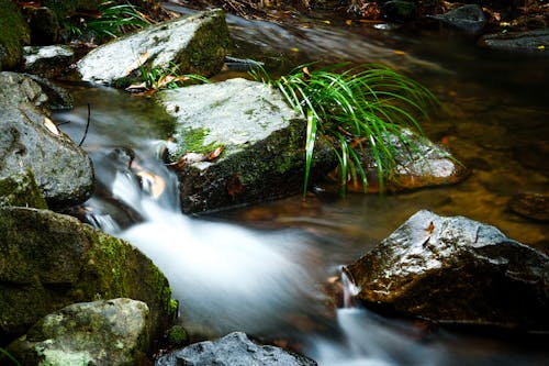 River Flowing Through Rocks