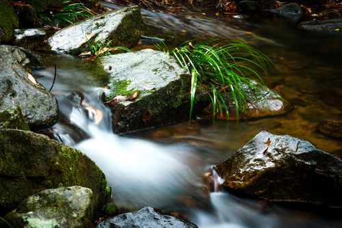 Free Serene image of a stream with moss-covered rocks and flowing water in a natural setting. Stock Photo