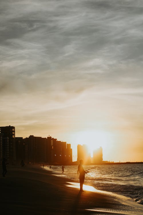 Silhouette of Person Standing on the Beach during Sunset