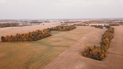 Aerial View of Farmland in Autumn
