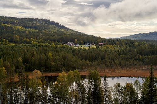 Ingyenes stockfotó erdő, klíring, parasztház témában