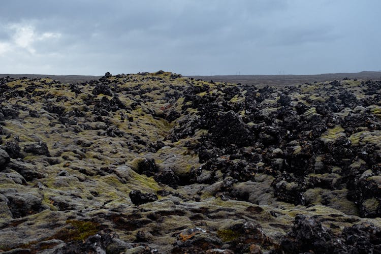 Smooth Rocks Covered In Moss