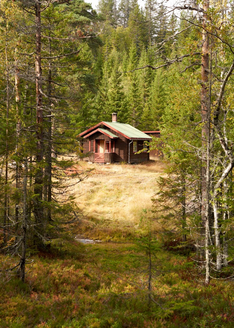 Wooden Cabin In The Woods