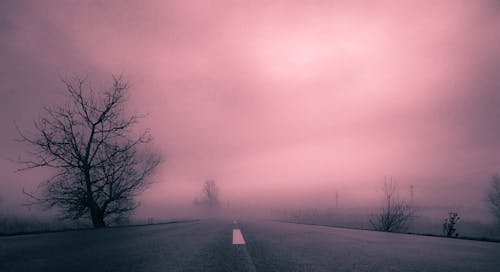 Free stock photo of fog, foggy