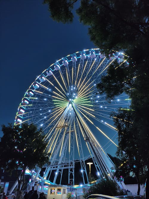 A Ferris Wheel Illuminated at Night
