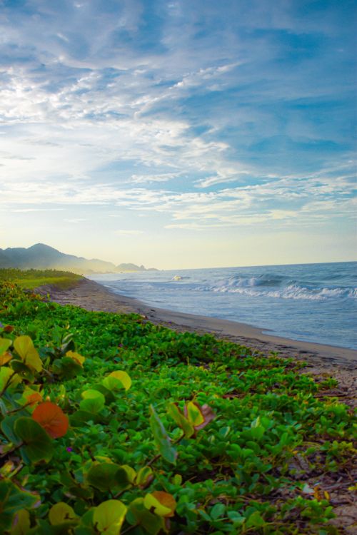 Free Discover the serene beauty of Santa Marta, Colombia, with lush greenery and a tranquil ocean view. Stock Photo