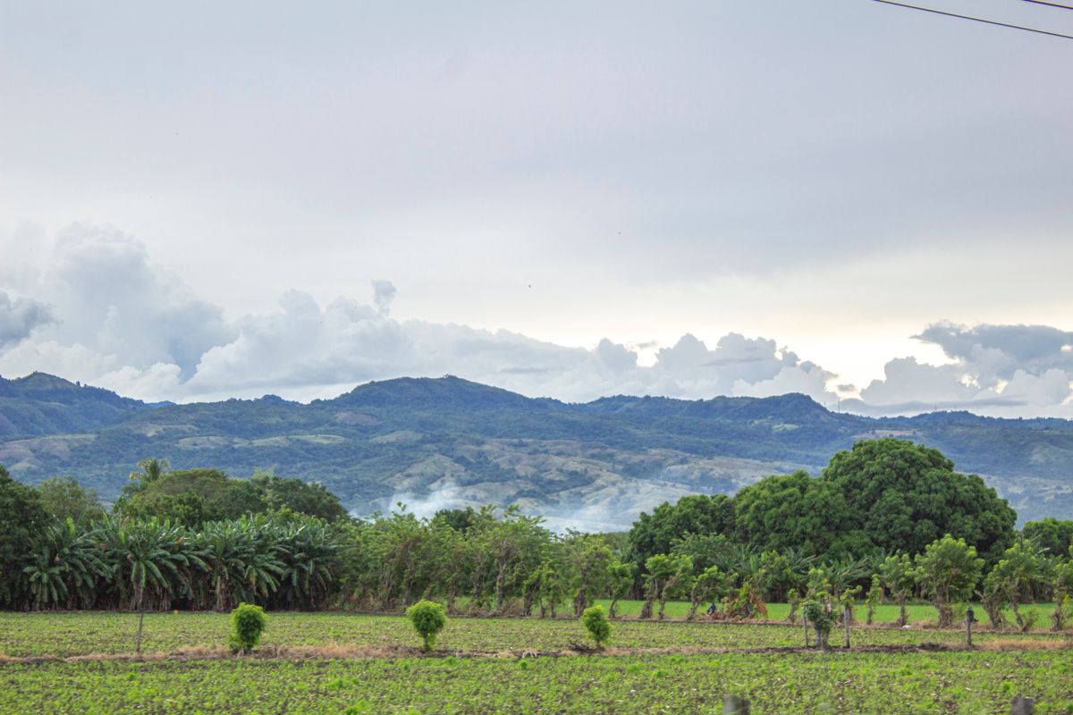 Cooperativa Tierra Alta