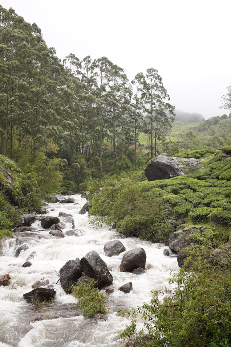 A Cascading River In The Countryside