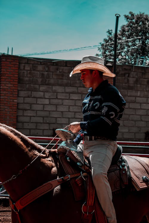 Základová fotografie zdarma na téma jízda na koni, kovbojský klobouk, kůň
