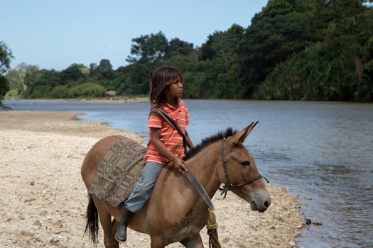 A child rides a mule along a riverside in Palomino, Colombia, amidst lush greenery.