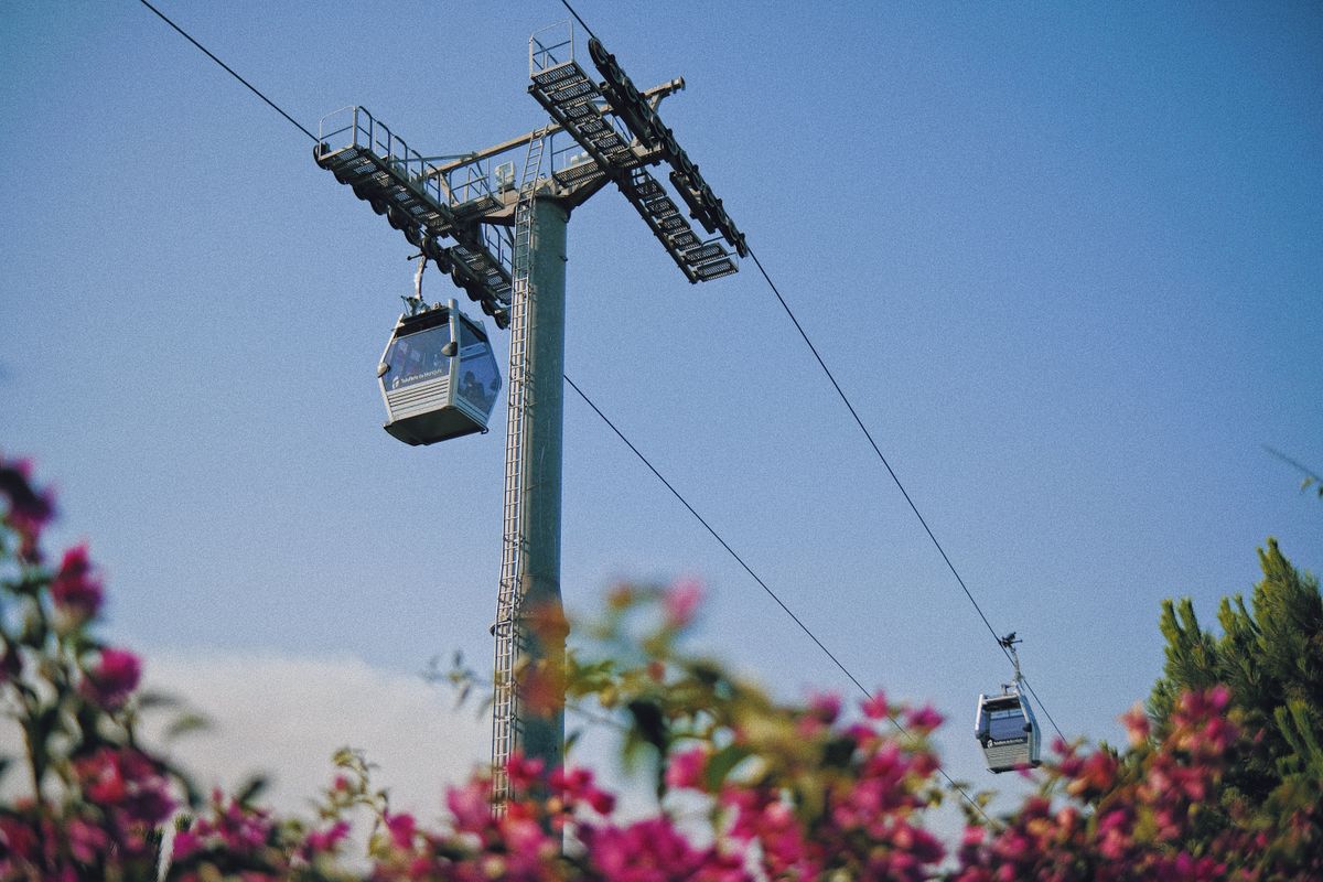 Cabine de teleferic peste dealul Montjuic, cu flori in prim-plan