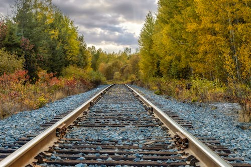 Ilmainen kuvapankkikuva tunnisteilla junanrata, kuljetus, metsä