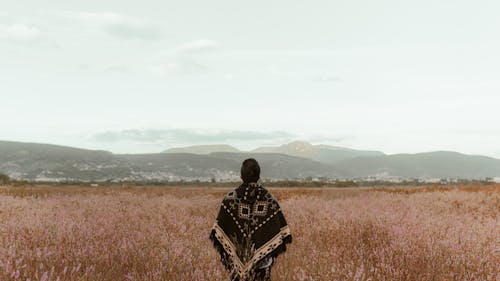 Person Standing on Brown Grass Field