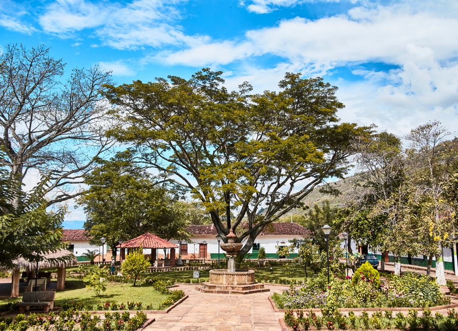 Scenic view of a vibrant public park in Cabrera, showcasing lush greenery and a serene atmosphere.