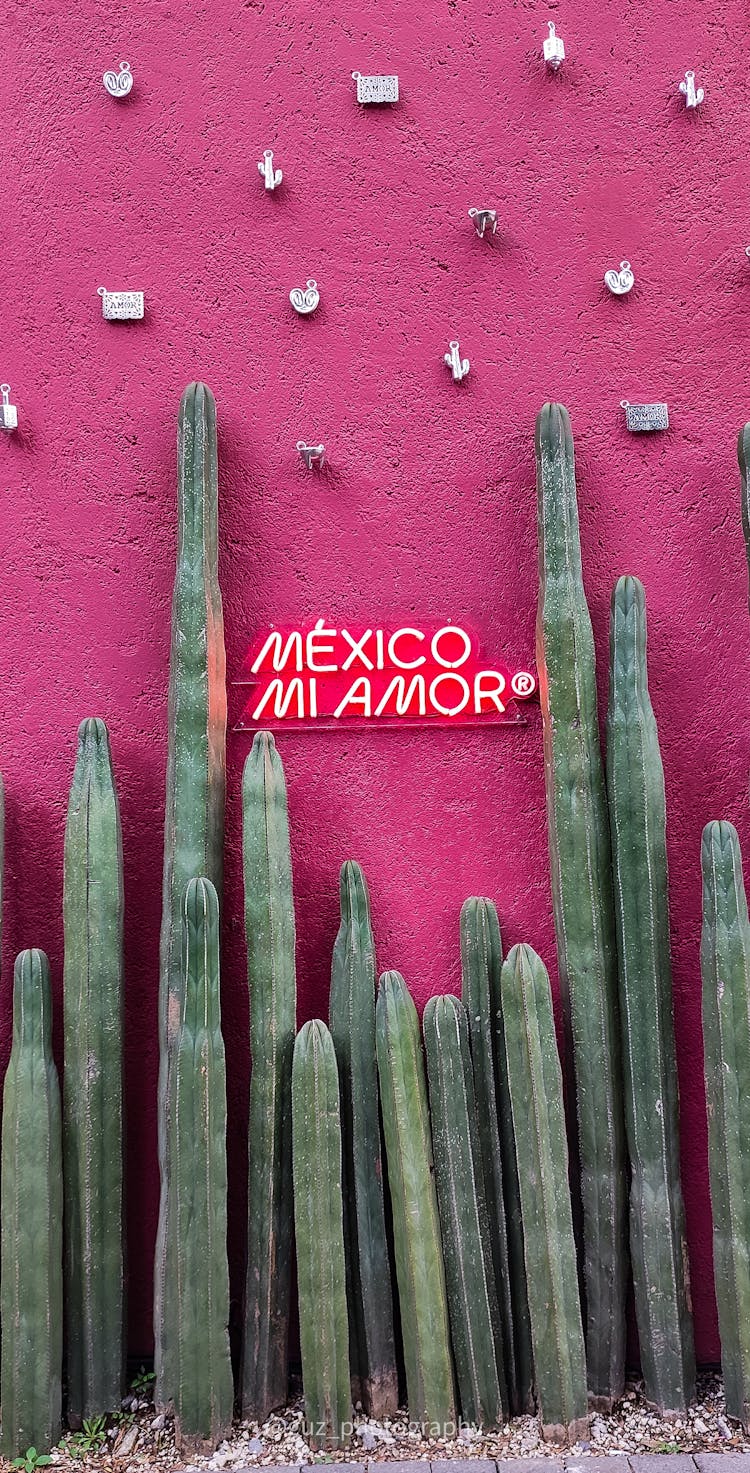 Mexico Mi Amor Sign