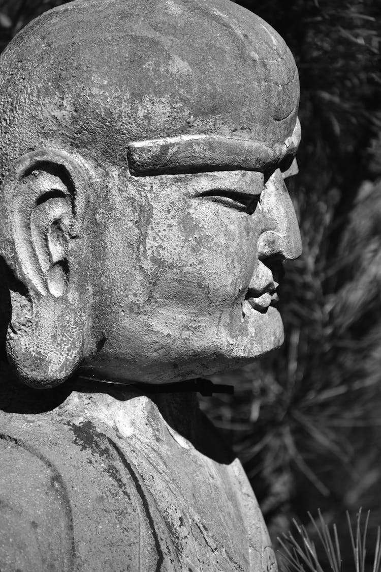 Gray Buddha Statue In Close-up Photography