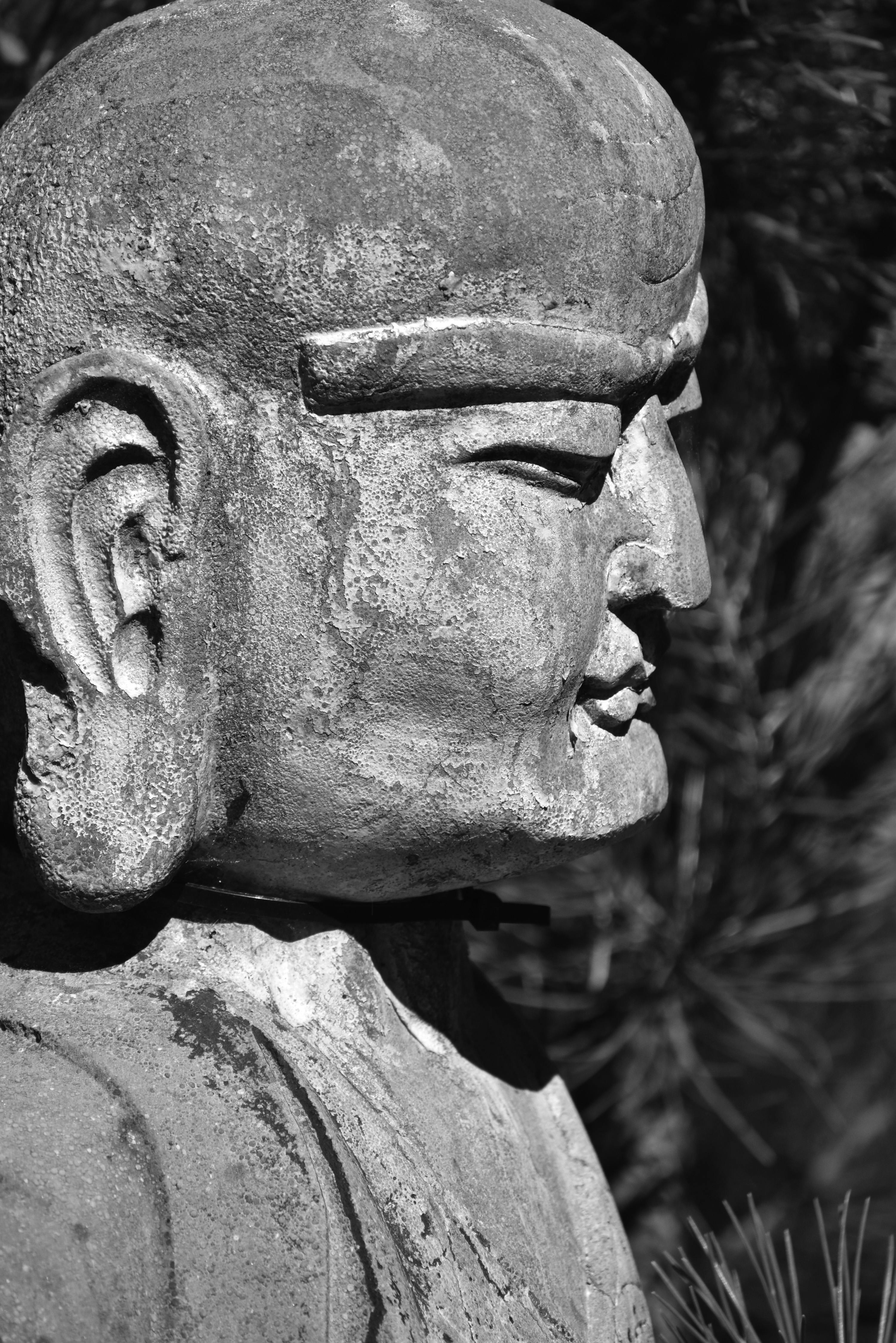 Close-up of a Buddha Statue · Free Stock Photo