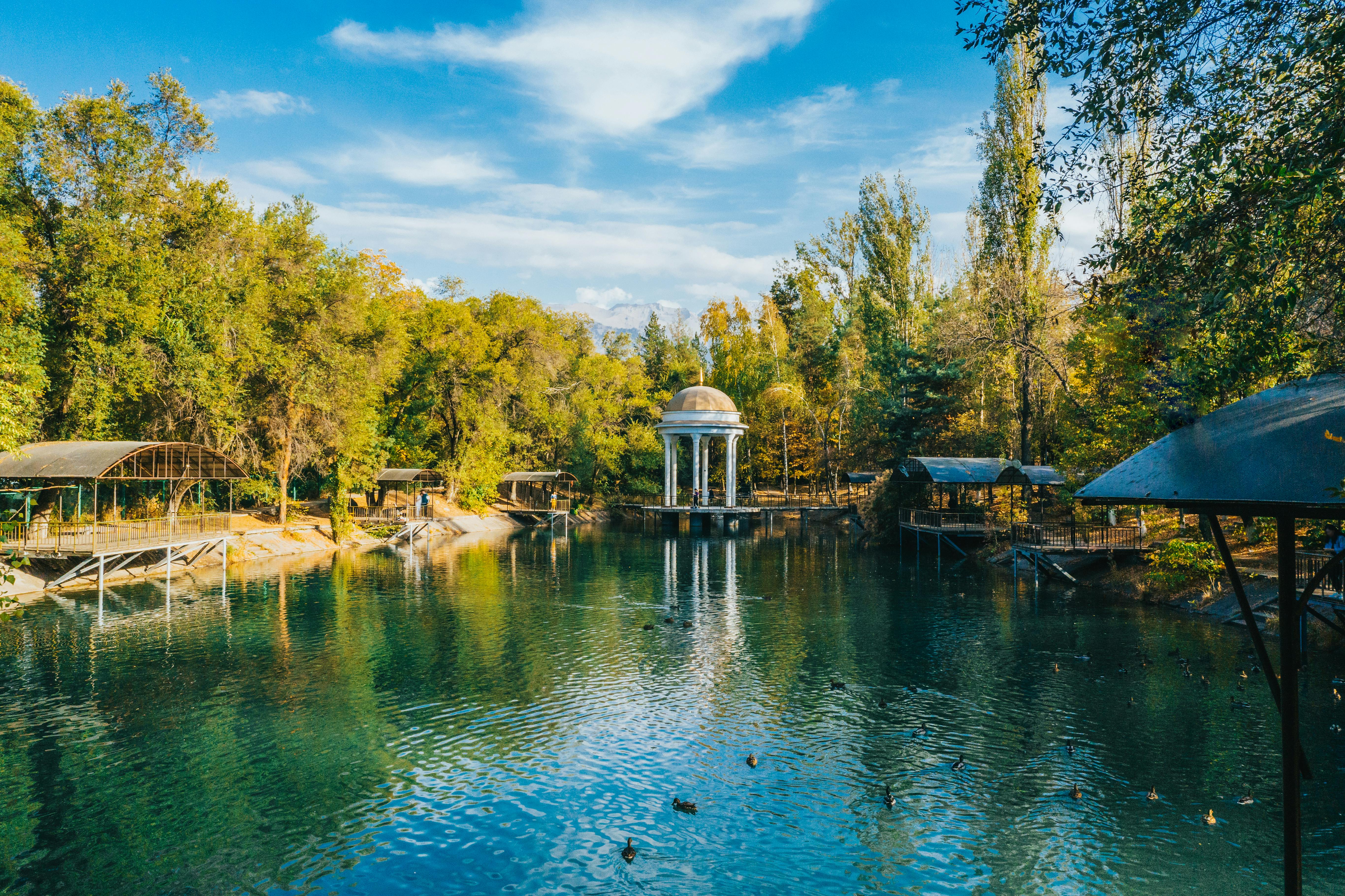 бесплатная Бесплатное стоковое фото с беседка, зеленые деревья, река Стоковое фото