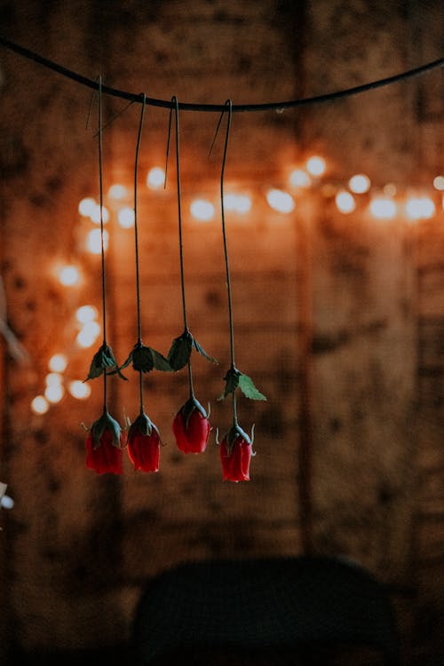 Hanging Artificial Red Roses 